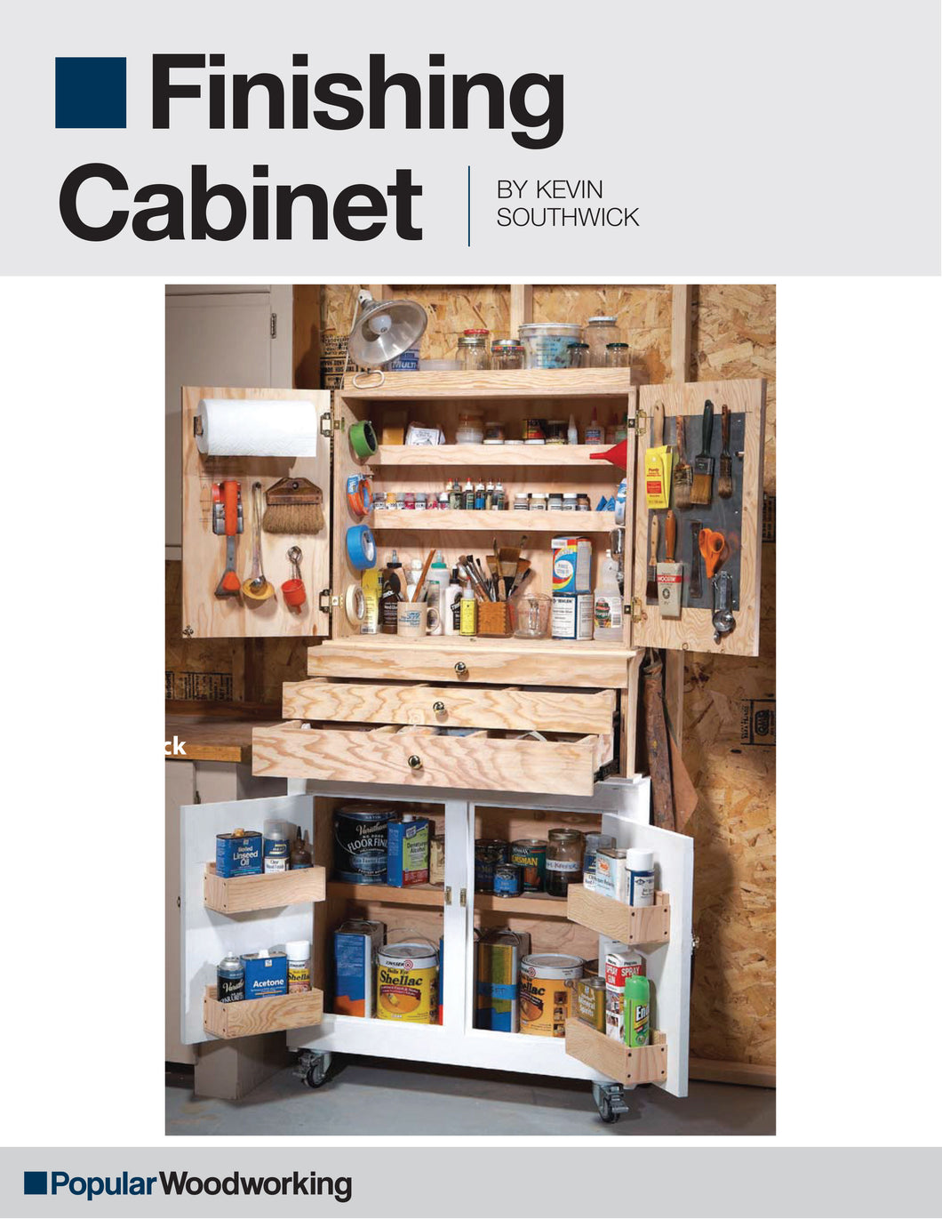 Finishing Cabinet Project Download
