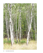 Load image into Gallery viewer, The Handcarved Bowl: Design & Create Custom Bowls from Scratch