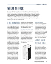 Load image into Gallery viewer, The Handcarved Bowl: Design & Create Custom Bowls from Scratch