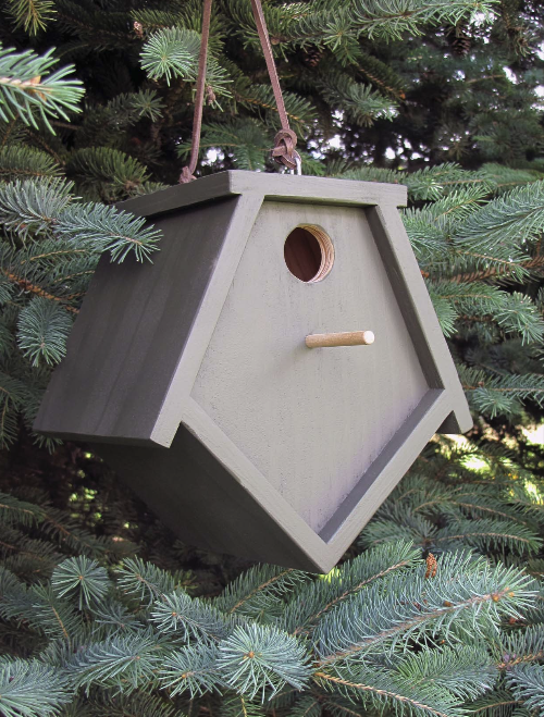 Wren Birdhouse Project Download