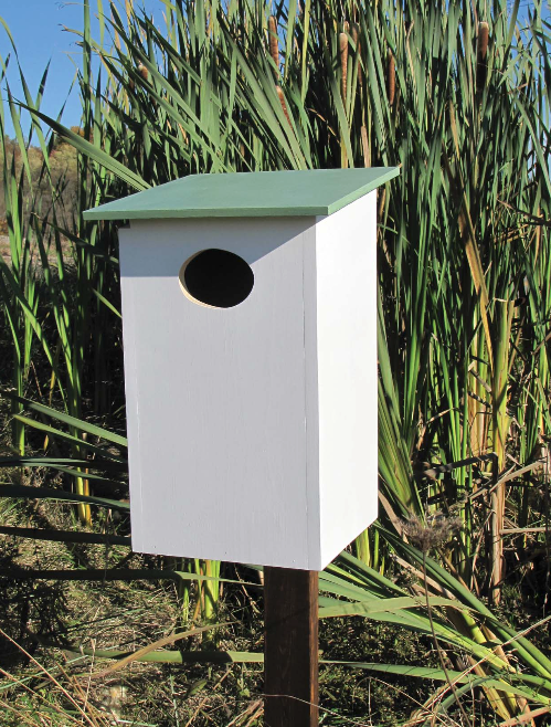 Wood Duck Birdhouse Project Download