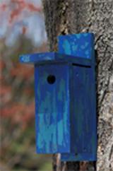 Black-Capped Chickadee House Project Download