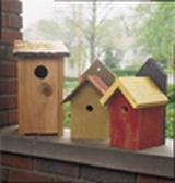 Eastern Bluebird Houses Project Download