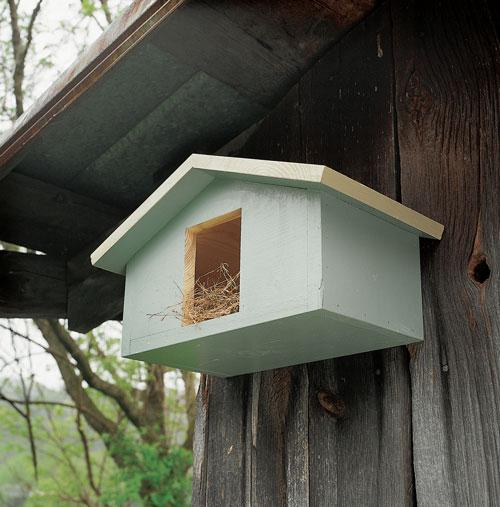 Mourning Dove Nesting Box Project Download