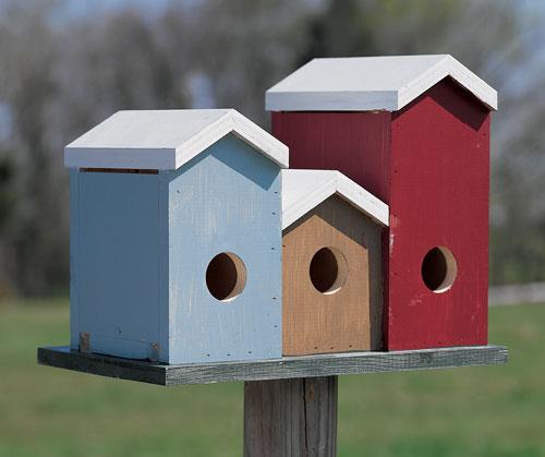 Purple Martin Rowhouses Birdhouse Project Download