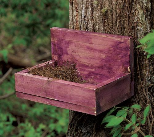 Northern Cardinal Platform Project Download – Popular Woodworking