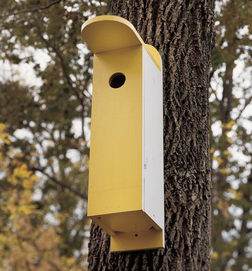 Northern Flicker Box Birdhouse Project Download